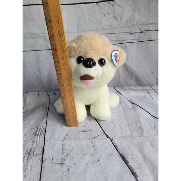Pomeranian Plush Puppy Boo World’s Cutest Dog 9in Tall Stuffed Animal Nanco - Picture 4 of 8